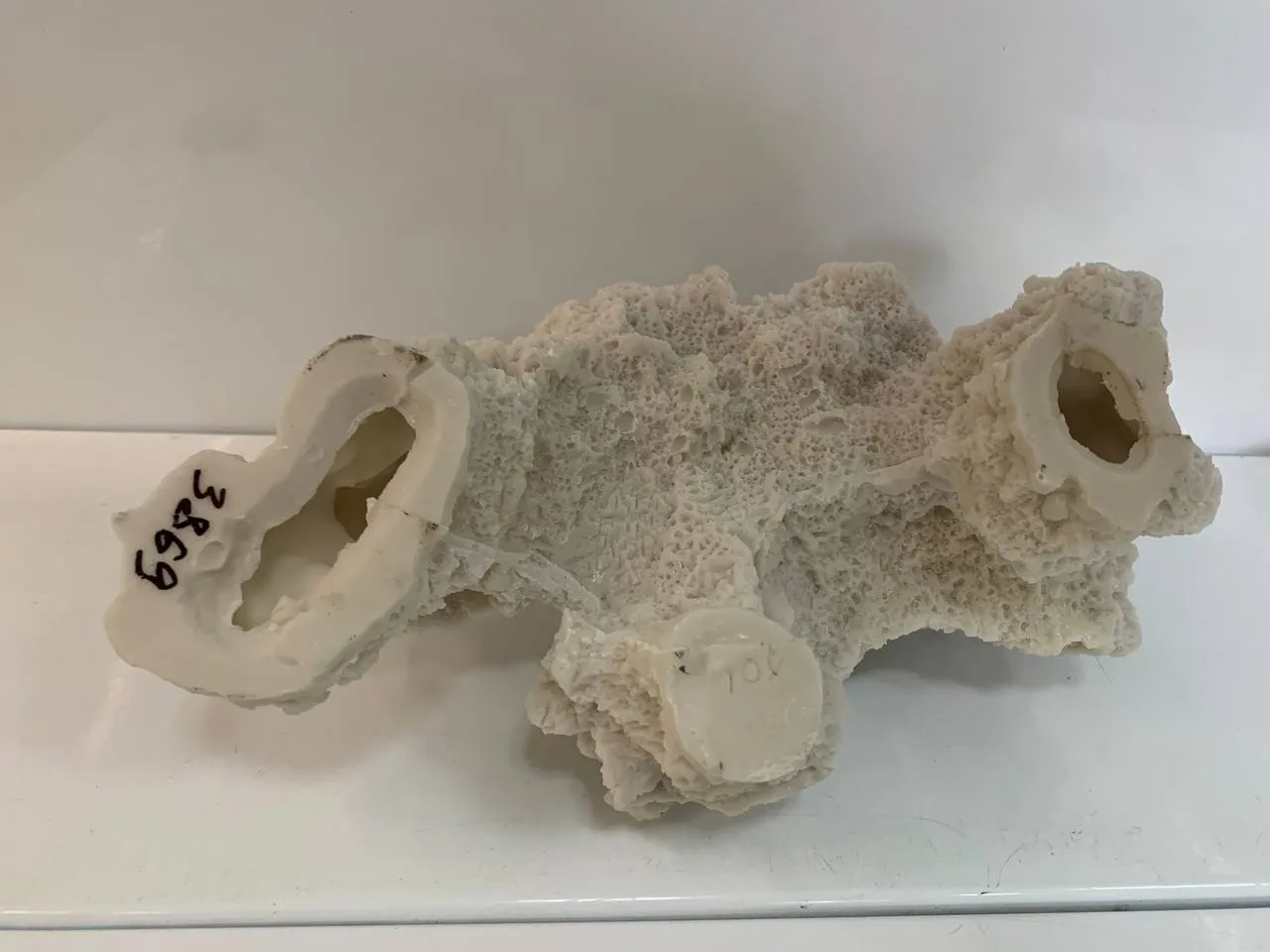Кораловий риф 29*16*14см білий 1908W