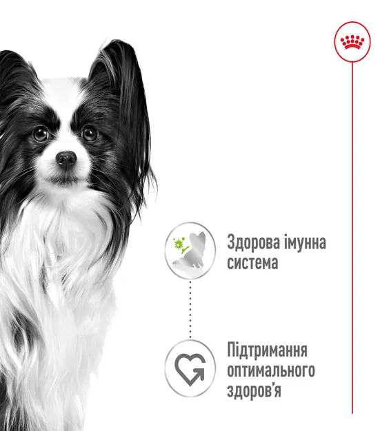 Royal Canin, X-Small Adult 0.085кг