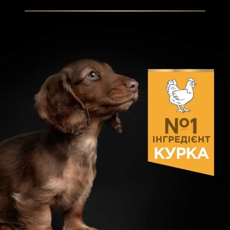 ProPlan Puppy Small&Mini з куркою для цуц. малих порід 1кг