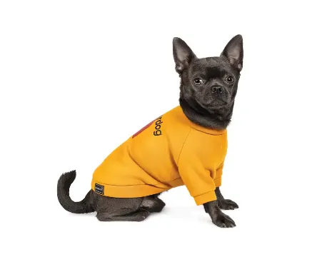 Толстовка superdog M