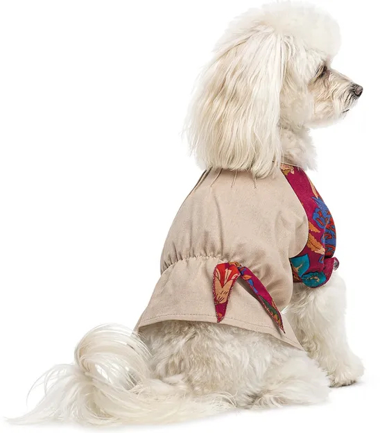 Сорочка Pet Fashion Соломія для собак дівчинка XS2 Бежева