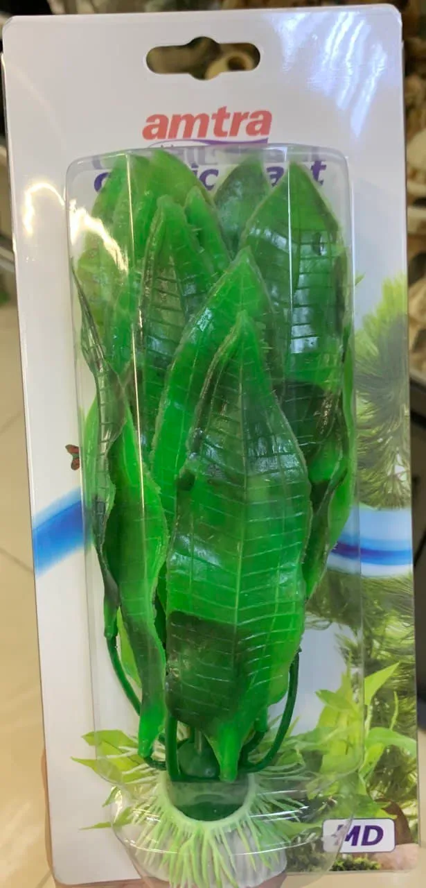 8011172 Рослина ECHINODORUS, штучна, 17см