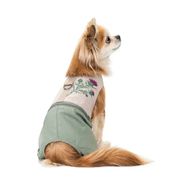 Шлей-костюм Pet Fashion Patrik S