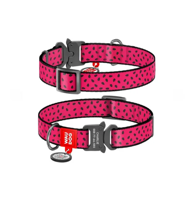 5145 Нашийник WAUDOG Nylon з QR паспортом, малюнок "Кавун", метал. фастекс Ш 15мм, Д 23-35см