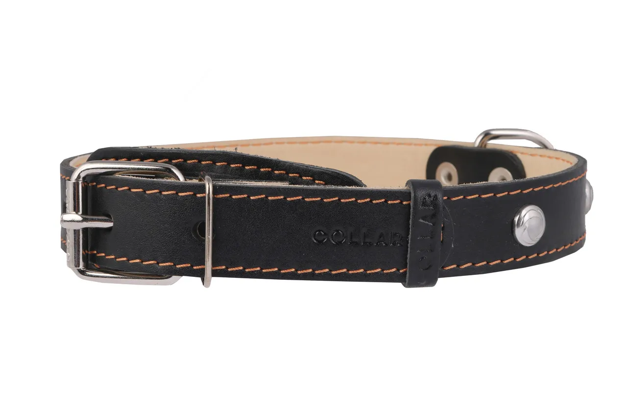 CoLLaR нашийник подвійний з прикрасами, W 14 мм, L 27-35 см