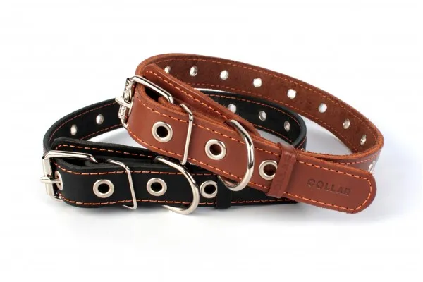 CoLLaR нашийник безрозмірний, W 20 мм, L 50 см