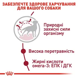 Royal Canin, Medium Adult для собак средних пород, 4кг