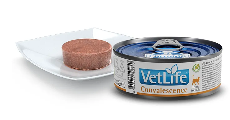 Farmina Cat Vet Life Convalescence дієт. харчування, для відновл. харчування та одужання 85г 02840