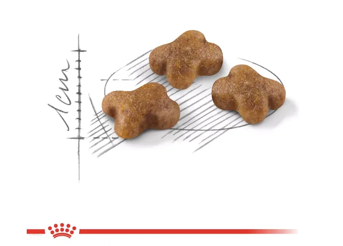 Royal Canin, Kitten для кошенят з 2 місяців до 12 місяців, 4кг