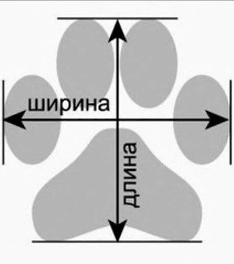 Чобітки в асортименті №2 3,6*5,5*8см