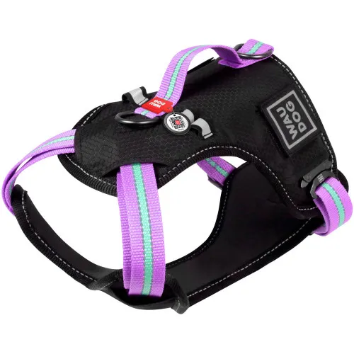 52499 Шлея безпечна WAUDOG Nylon с QR-паспортом, металічна пряжка-фастекс М, Ш 20мм, Дов A 45-70см, В 60-80см фіолетова