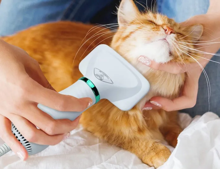 Пилосос-фен Pet Grooming Dryer 2in1
