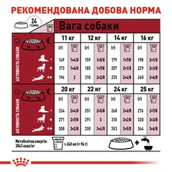 Royal Canin, Medium Adult для собак средних пород, 4кг