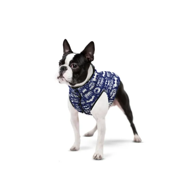 0930-4001 Курточка для собак WAUDOG Clothes Batman XS 30 блакитно біла