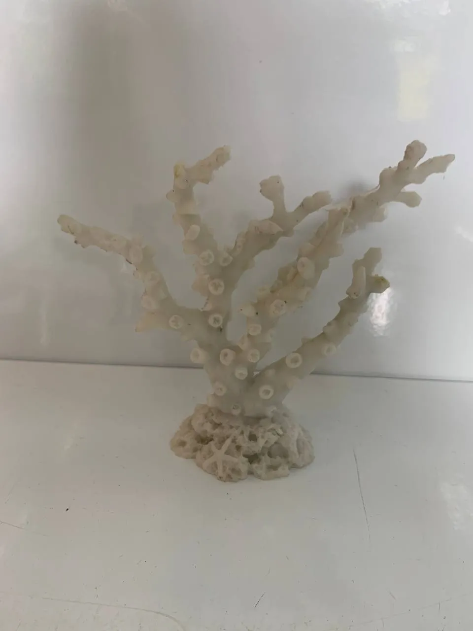 Корал 18*6*15см білий 1432W