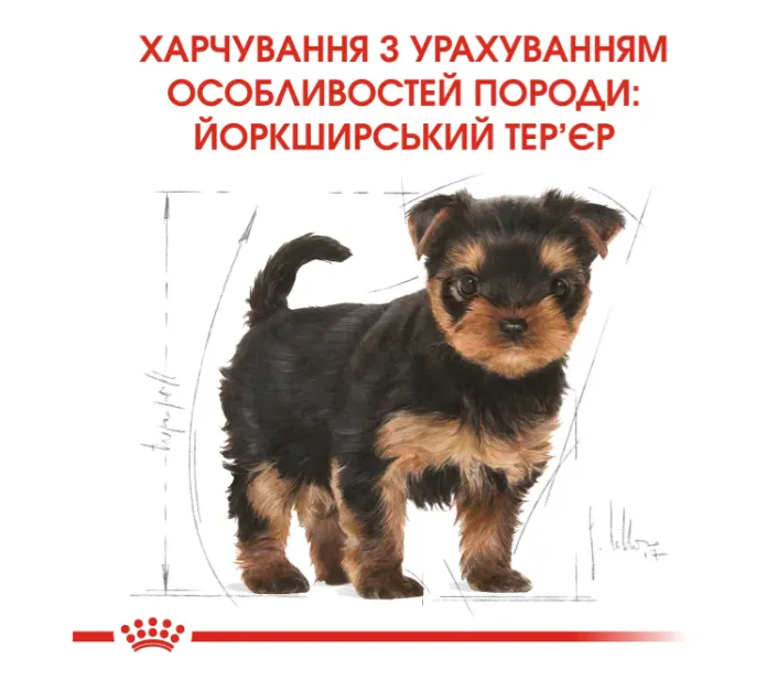 Royal Canin, Yorkshire Terrier Puppy 1.2+300кг