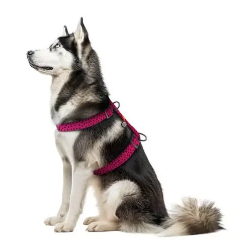 5051 Шлея WAUDOG Nylon анатомічна, з OR паспортом, малюнок "Кавун", пласт. фастекс Ш 25мм Д 60-90см - фото 3, характеристики, купити в «Живий Куток»
