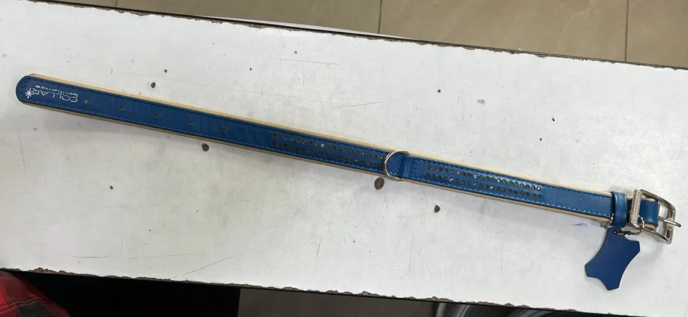 38782 Нашийник CoLLaR Brilliance зі стразами Ш 25мм Д 38-49см синій