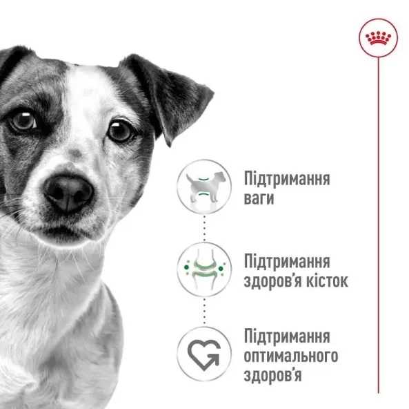 Royal Canin, Mini Adult 1кг