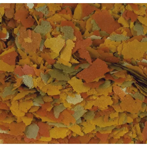 Goldfish Color 100ml 20g 77173