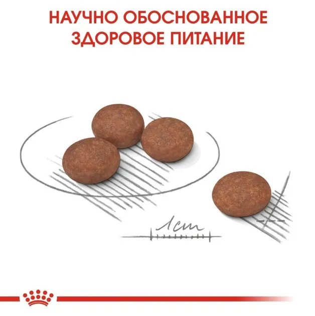 Royal Canin, Mini Digestive care, 3кг