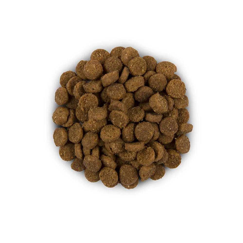 Hills Digestive Care 1,5кг