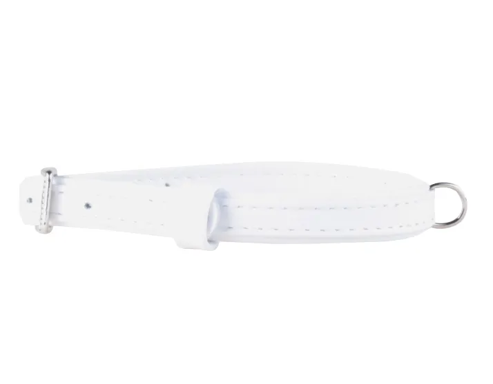 3098 Нашийник CoLLaR Brilliance без прикрас Ш 20мм Д 30-39см білий