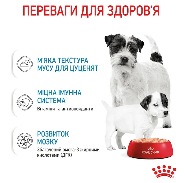 Royal Canin, Starter Mousse Mother & Babydog 0.195кг