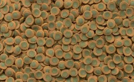 Tetra PLECO Spirulina Wafer 3.6L 0.1кг 193840