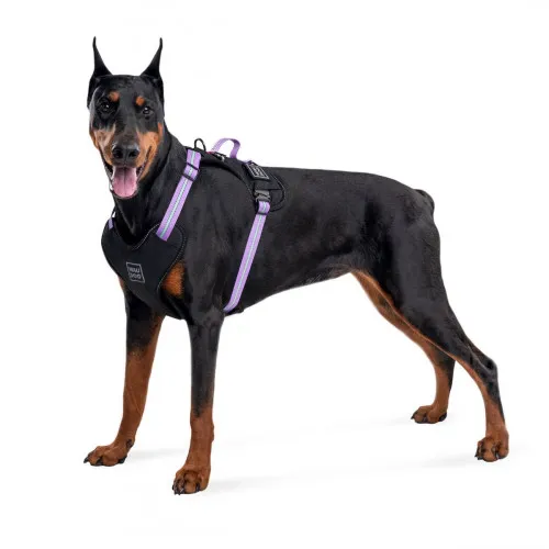 52499 Шлея безпечна WAUDOG Nylon с QR-паспортом, металічна пряжка-фастекс М, Ш 20мм, Дов A 45-70см, В 60-80см фіолетова
