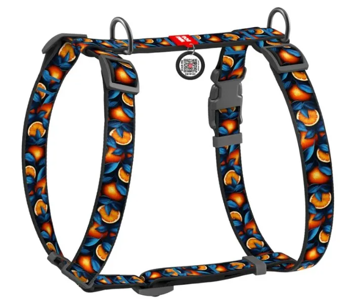 322-4054 Шлея WAUDOG Nylon анатомічна, Н-подібна, з QR паспортом, малюнок "Апельсини", пласт. фастекс L Ш 25мм А 50-90см В 60-100см