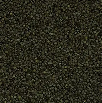 SUPER SPIRULINA FORTE GRANULAT 0,1кг