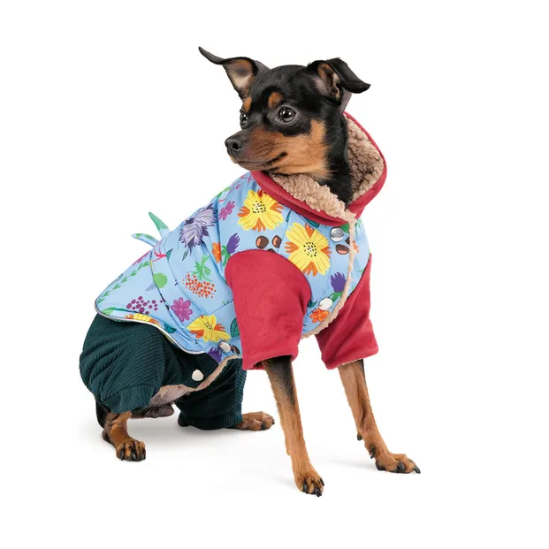 Костюм для собак Pet Fashion дівчинка Alisa S