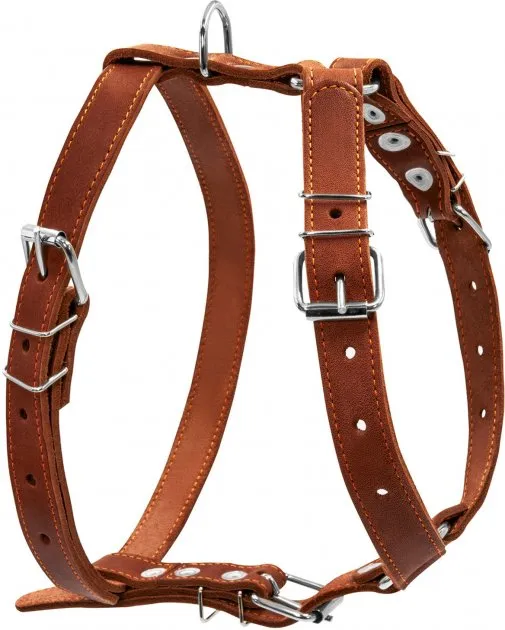 06386 Шлея "CoLLaR" одинарна для середніх собак Ш 25мм, А:49-68см, В:68-80см коричнева