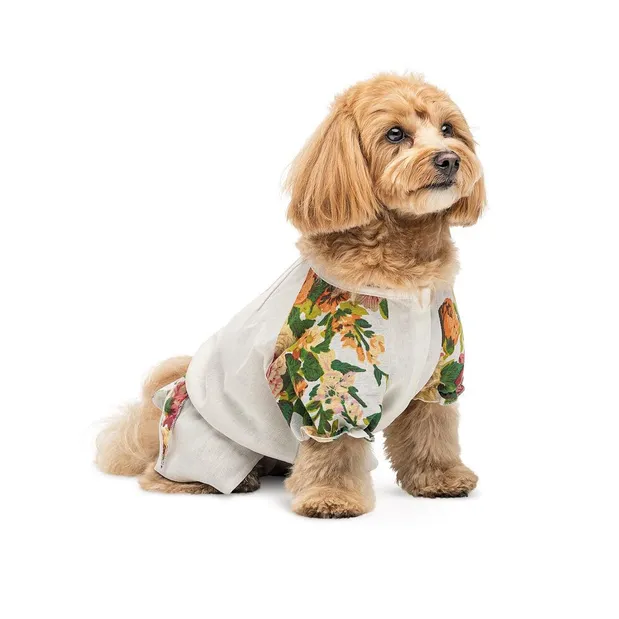 Сорочка Pet Fashion Соломія для собак дівчинка S Біла