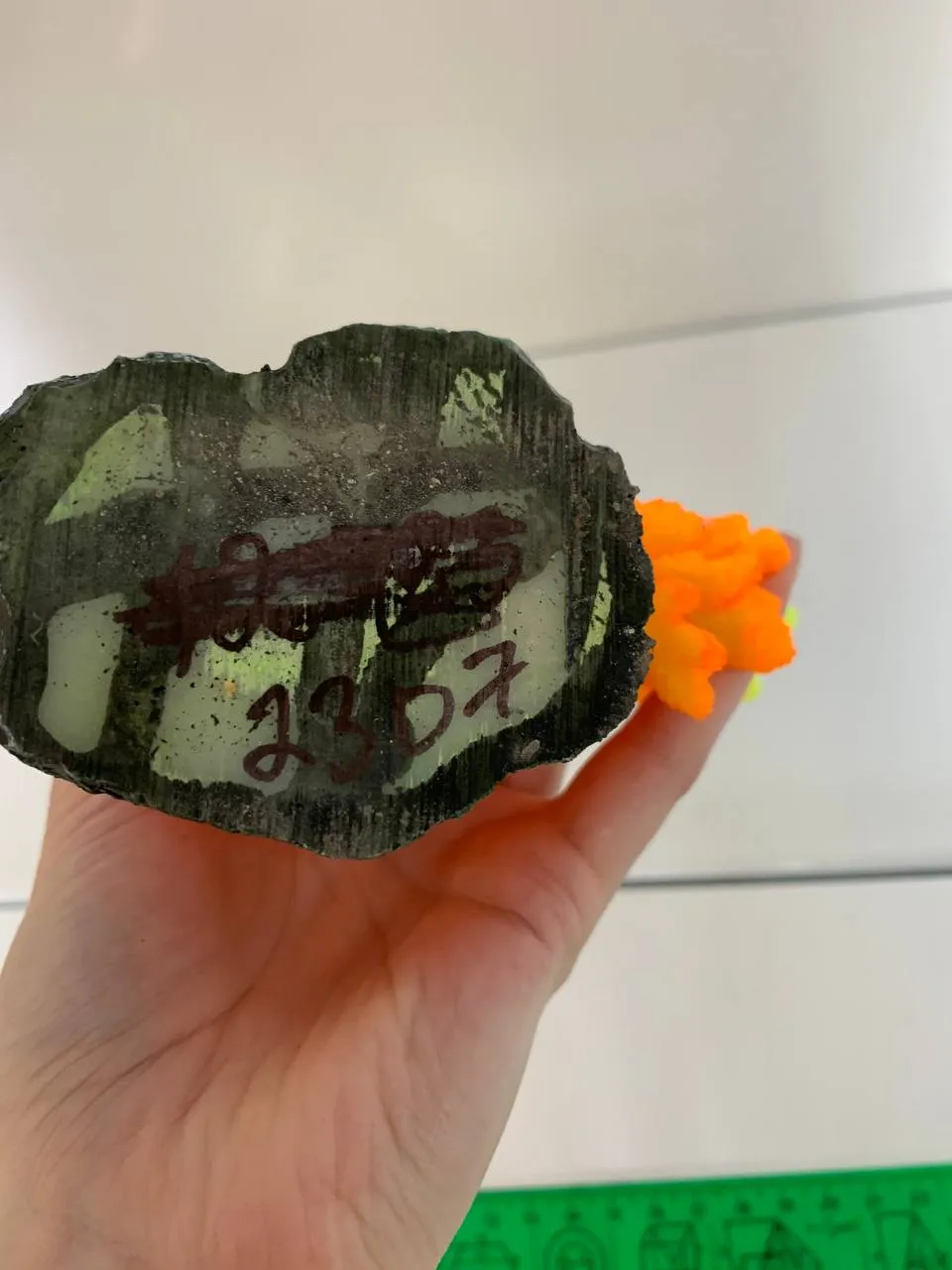 Корал 24*7*22см помаранчевий 1443Y