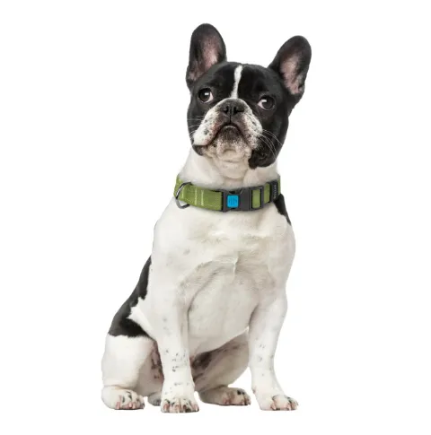 9933 Нашийник CoLLaR бавовняна стрічка, брезент, пласт. фастекс M Ш 25мм Д 33-49см