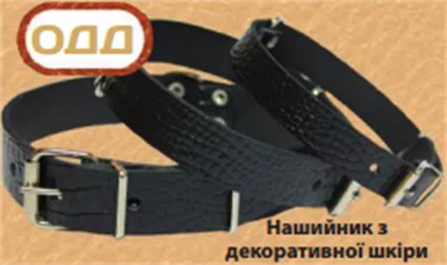 Лорі нашийник шкіряний декоративний, W 25 мм, L 36-45 см