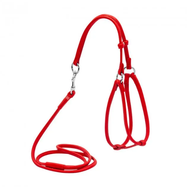 34013 Шлея кругла "CoLLaR Glamour" №1 з повід для котів та дрібн. порід собак (шир.6мм, А 27-35см, В22-30см) червоний