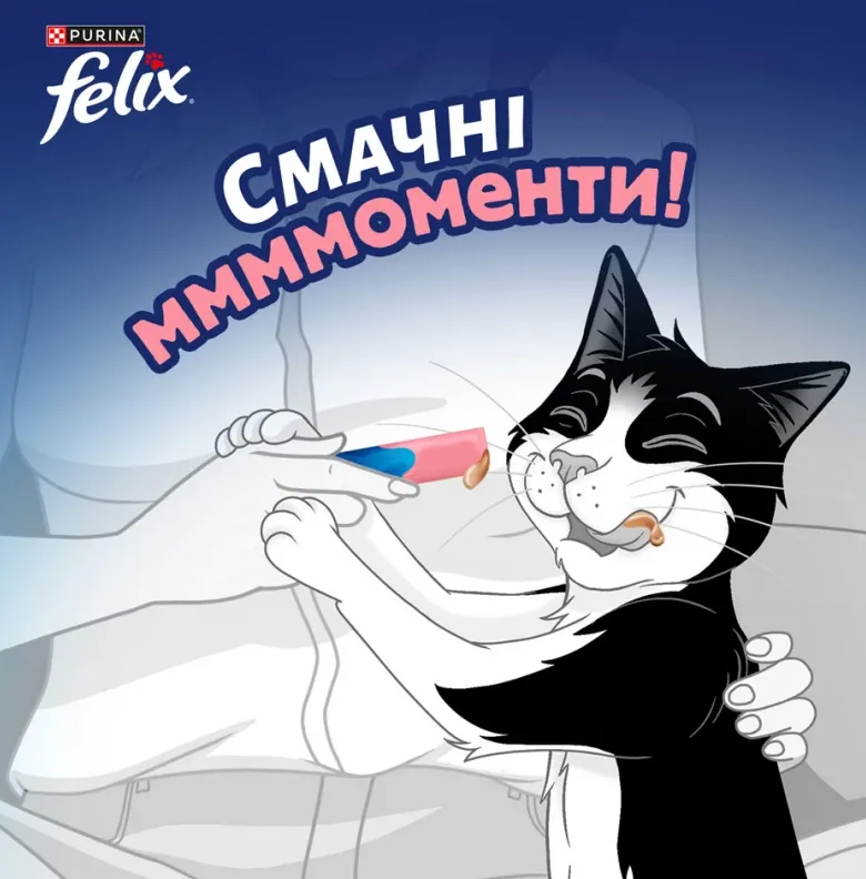 Felix Deli Moments рідкі ласощі з лососем 4*10г