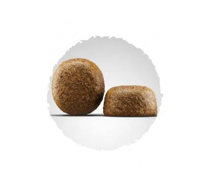 JOSERA Large Breed (Лардж Брід) лосось для великих гігантських порід, 1кг