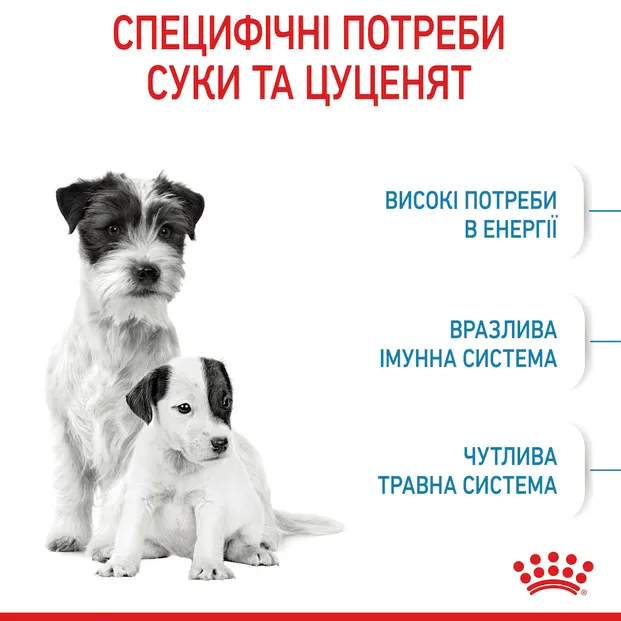 Royal Canine, Mini Starter, 1кг