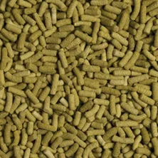 Корм Tropical Biorept L, 100 г