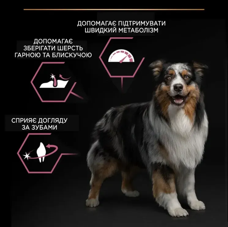 ProPlan Adult Medium з лососем та рисом для соб. середніх порід з чут. шкірою 1кг