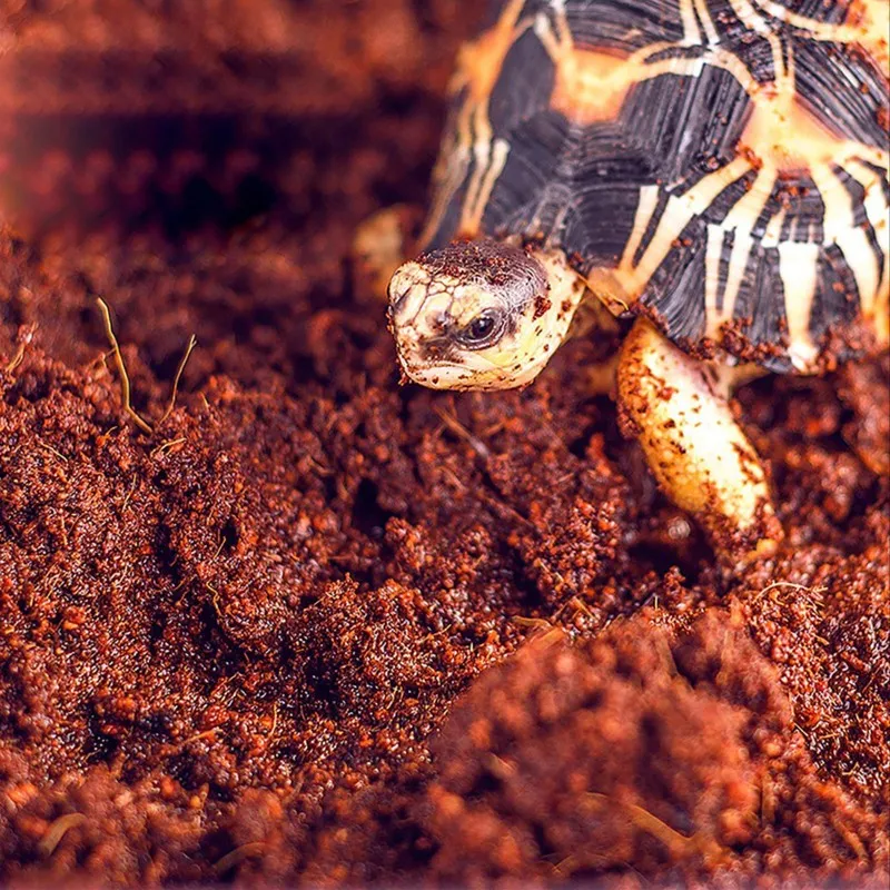 Субстрат тропічний Komodo Tropical Terrain 6л (U46015)