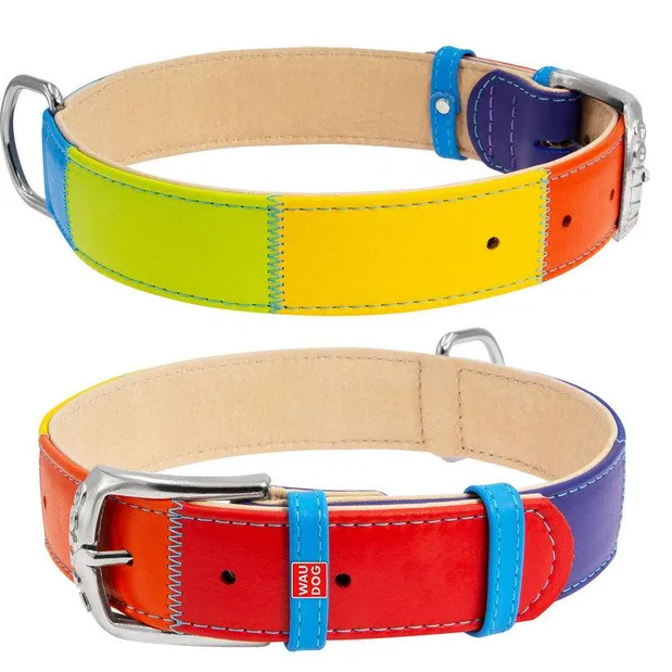 3921 Нашийник WAUDOG Glamour з QR паспортом, шкіряний Д 38-49см різнокольоровий