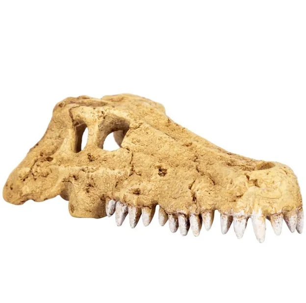 Декоративне укриття Крокодилячий череп Repti-Zoo Crocodile Skull M ERS34S 11*6*4см