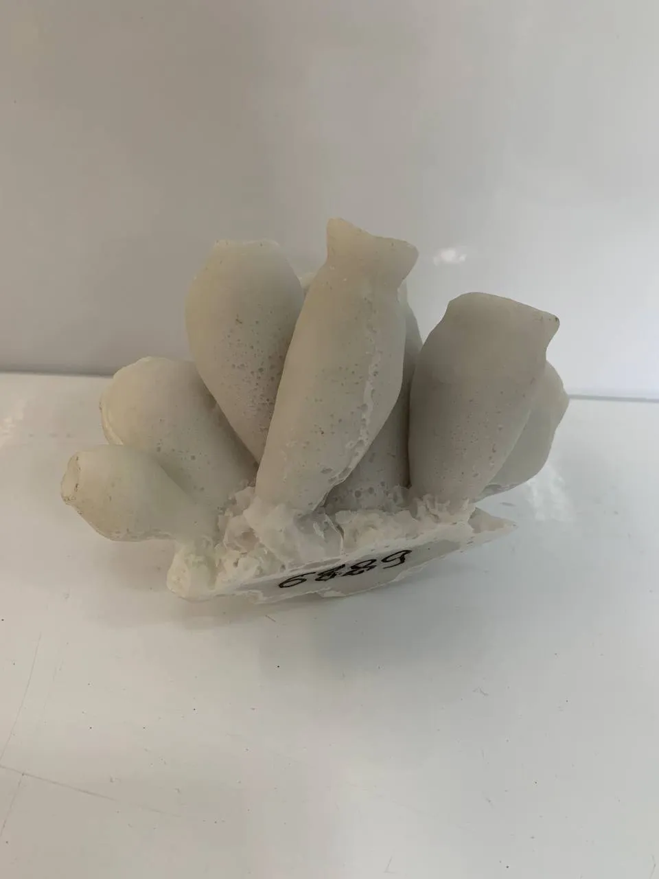 Корал 11*11*7см білий 1464W