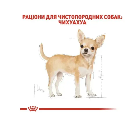 Royal Canin, Chihuahua Adult 1.2+300кг